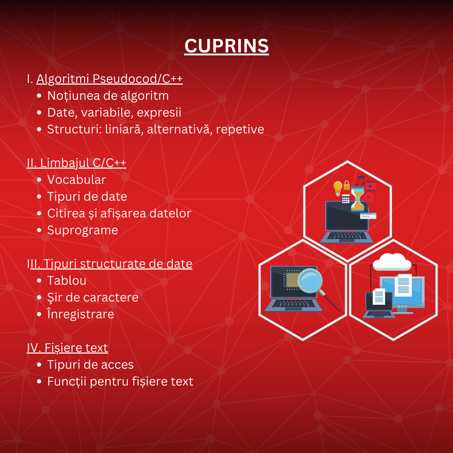 Informatică | Carte Bacalaureat