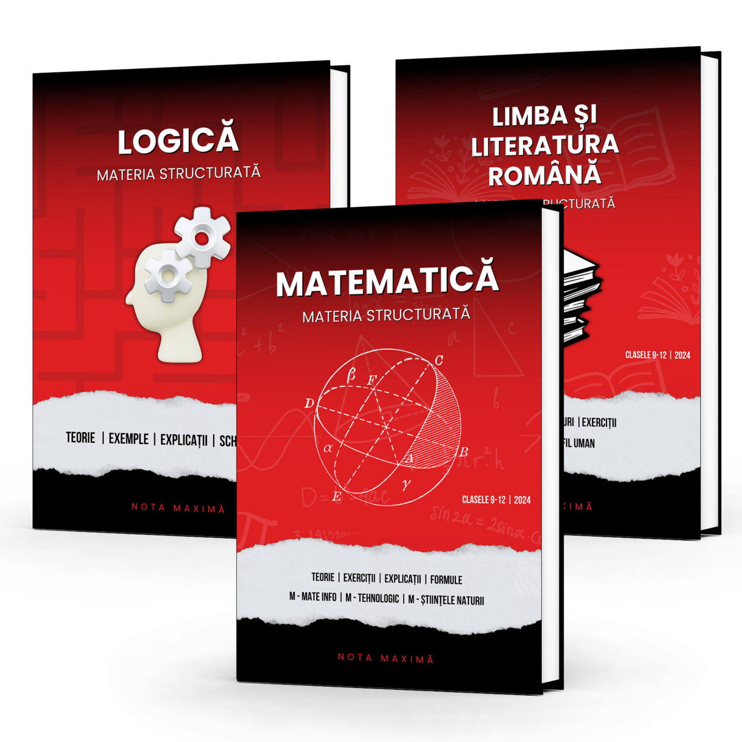 Pachet Bacalaureat | Logică + Matematică + Română