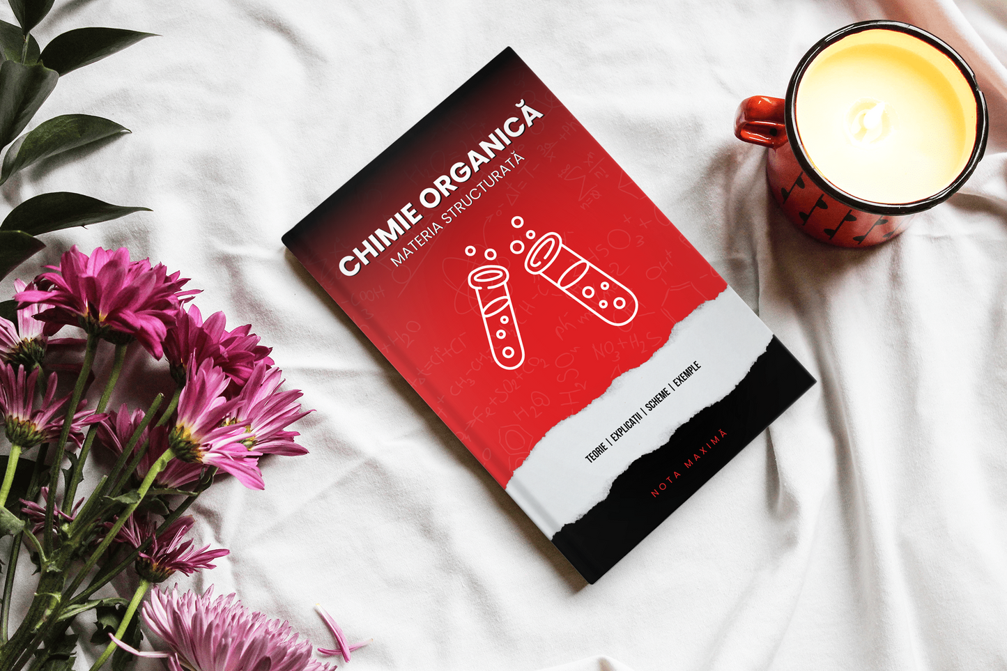Chimie Organică | Carte Bacalaureat