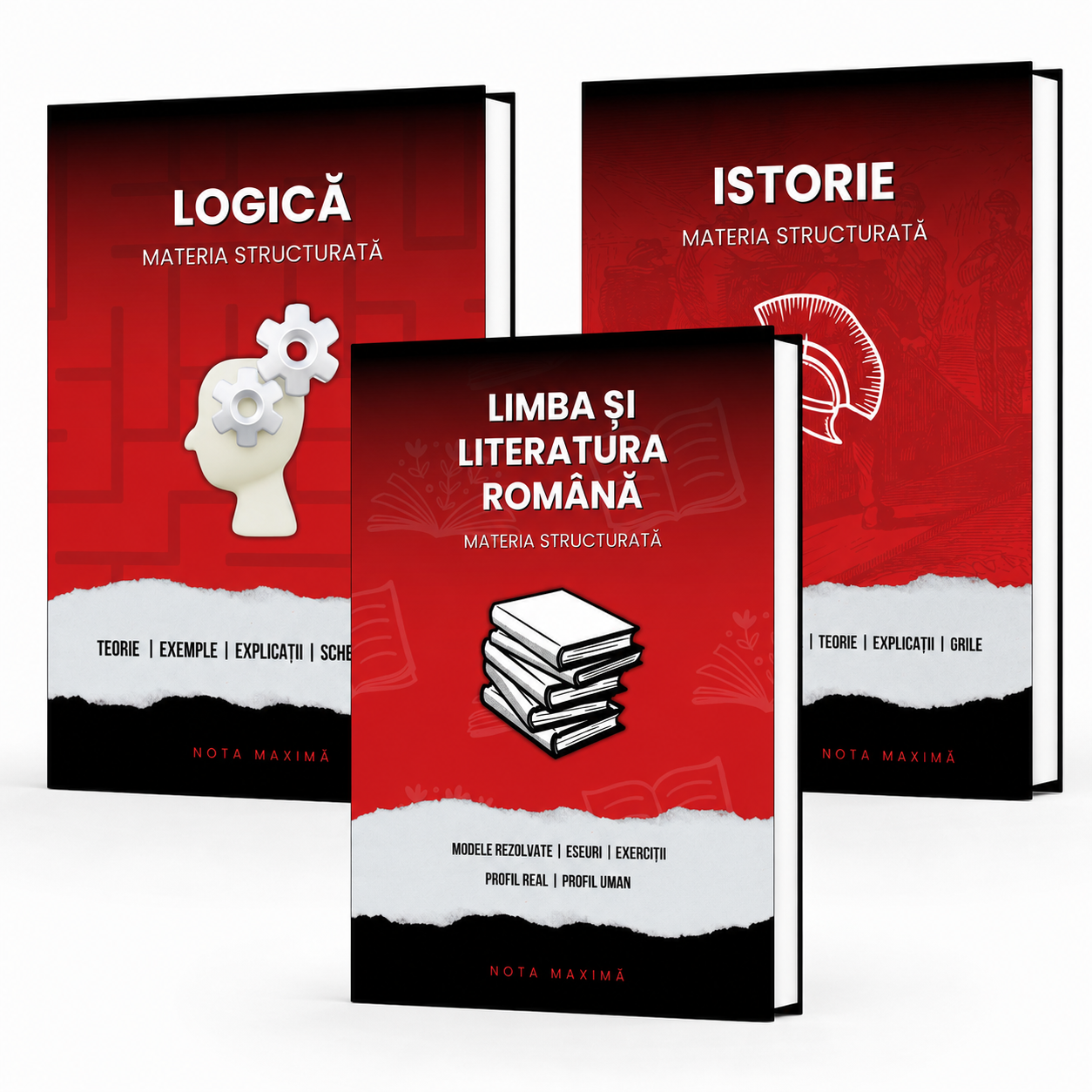 Pachet Bacalaureat | Logică + Română + Istorie