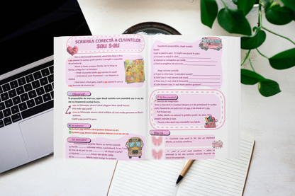 Clasa a II-a – Limba și Literatura Română