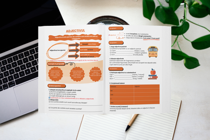 Clasa a III-a – Limba și Literatura Română