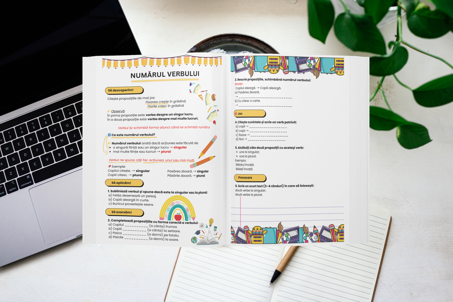 Clasa a III-a – Limba și Literatura Română