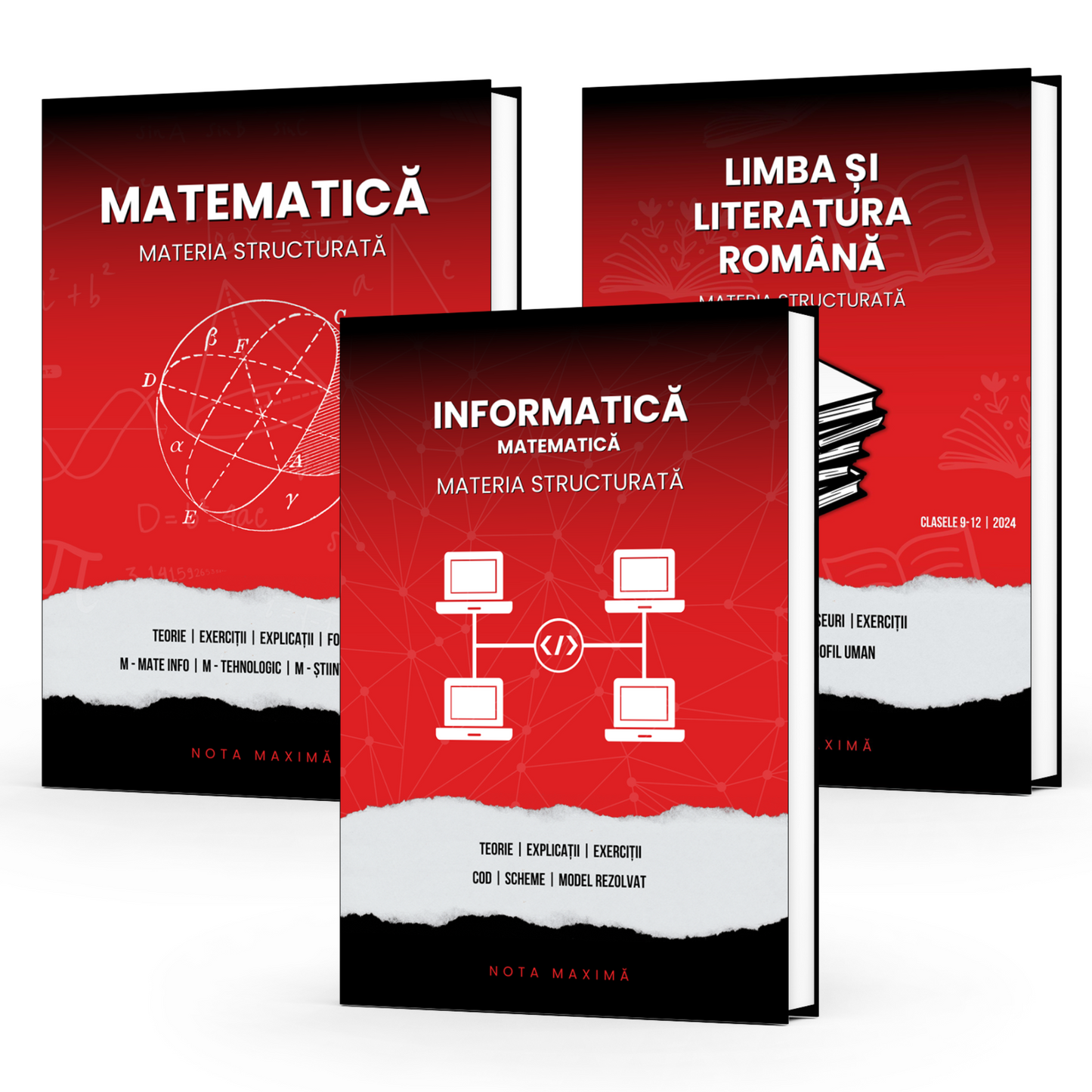 Pachet Bacalaureat | Informatică + Română + Matematică